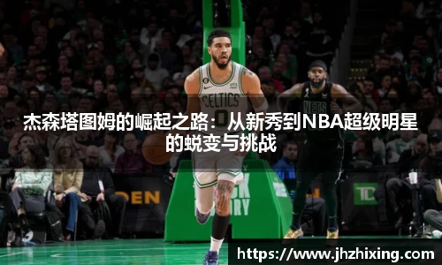 jn江南·体育登录入口